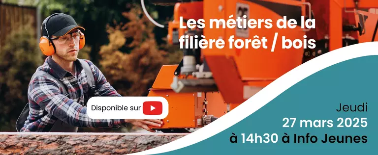 Bannière Foret Bois