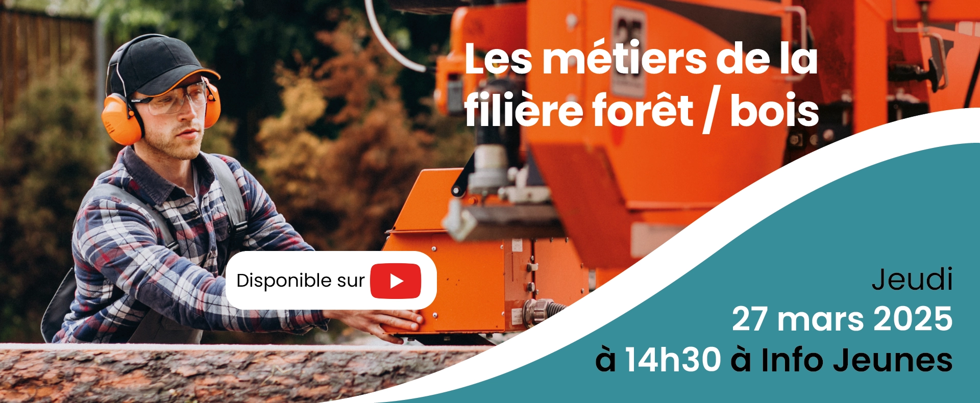 Bannière Foret Bois